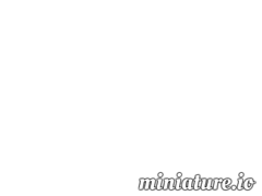 數碼荔枝推廣廣告聯盟